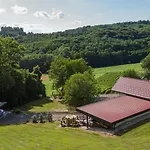 In The Vineyard With Pool, Hottub & Sauna *