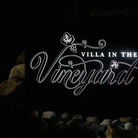 빌라 In The Vineyard With Pool, Hottub & Sauna *