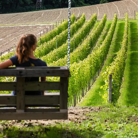 Βίλα In The Vineyard With Pool, Hottub & Sauna *