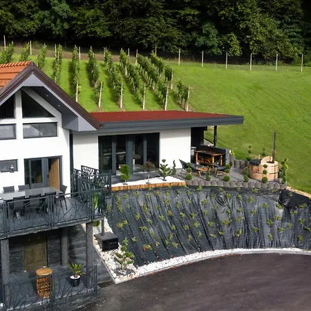 In The Vineyard With Pool, Hottub & Sauna 别墅