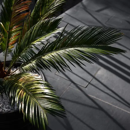 In The Vineyard With Pool, Hottub & Sauna Villa Lendava