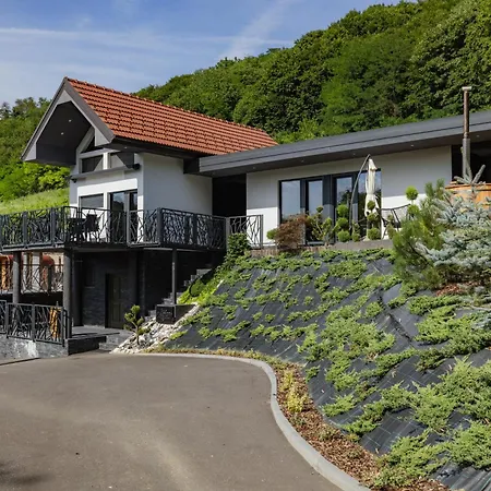 In The Vineyard With Pool, Hottub & Sauna Villa