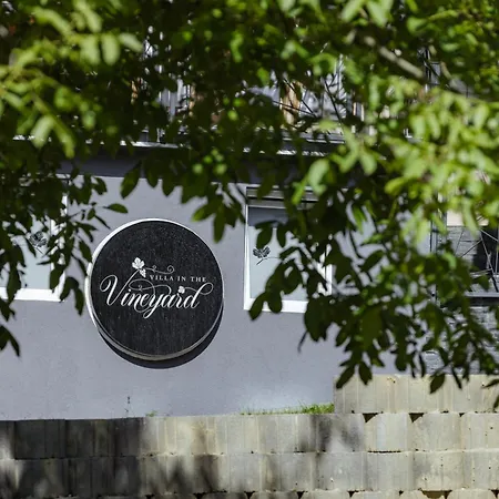 Villa In The Vineyard With Pool, Hottub & Sauna Lendava