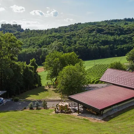 In The Vineyard With Pool, Hottub & Sauna *