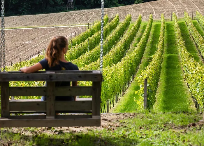 ヴィラ In The Vineyard With Pool, Hottub & Sauna *