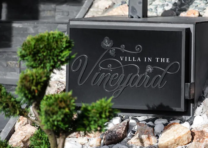 In The Vineyard With Pool, Hottub & Sauna