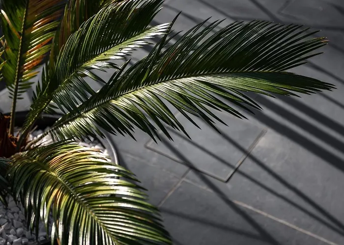 In The Vineyard With Pool, Hottub & Sauna Villa Lendava