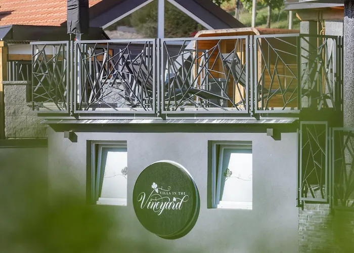 In The Vineyard With Pool, Hottub & Sauna