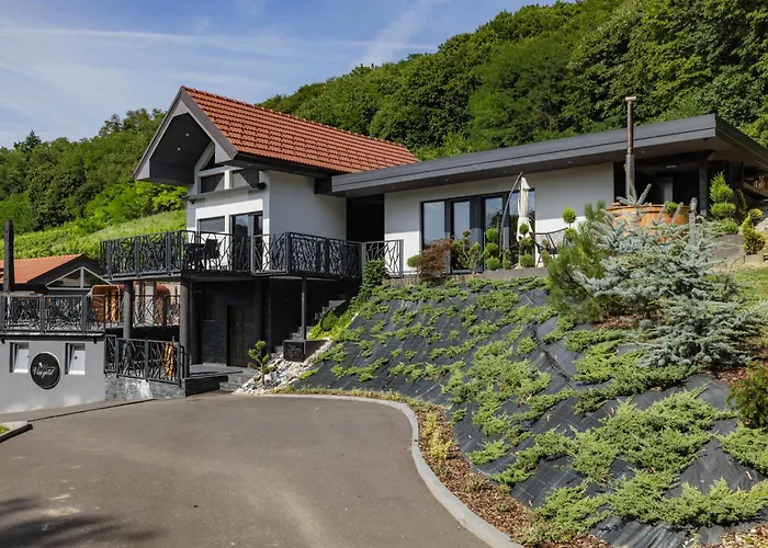 In The Vineyard With Pool, Hottub & Sauna ヴィラ