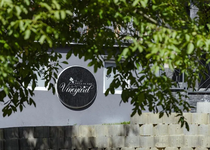 Villa In The Vineyard With Pool, Hottub & Sauna Lendava