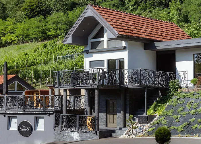 Villa In The Vineyard With Pool, Hottub & Sauna Lendava