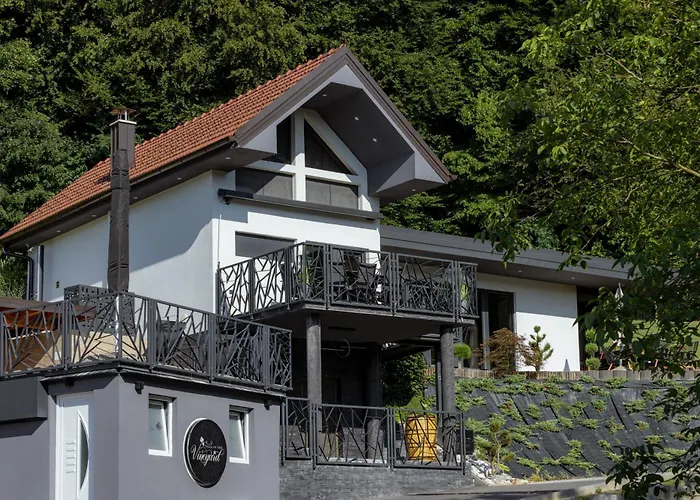 In The Vineyard With Pool, Hottub & Sauna *